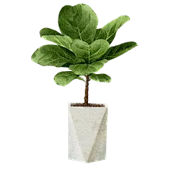 手绘绿色植物插画元素