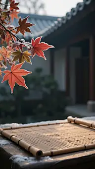 寒露实景感树叶露珠展台背景