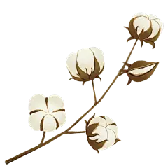 手绘-秋天季节元素贴纸svg-棉花