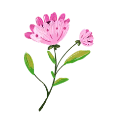 insMind Holidays Elements