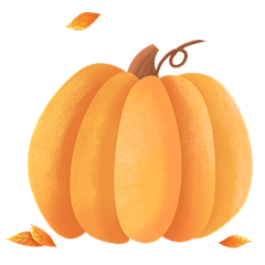 手绘-秋冬季节元素贴纸-南瓜