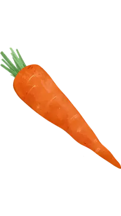 常规果蔬系列手绘感胡萝卜元素