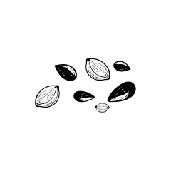 常规内容-美食系列手绘风杏仁黑白插画元素