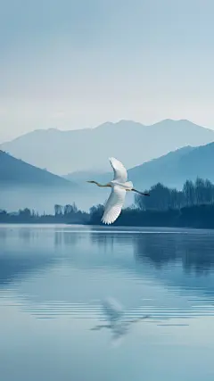 白露系列实景白露通用背景素材