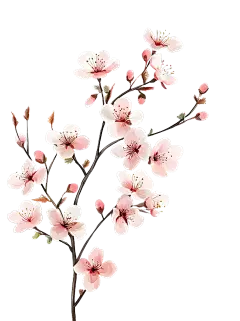 植物系列中国风工笔画桃花花枝元素
