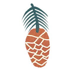 可爱风动物形象素材-松果