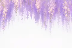 常规内容-植物系列唯美感紫藤花插画背景