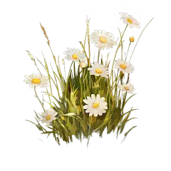 植物系列手绘草丛小花元素