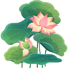 植物系列金色描边插画荷花荷叶元素贴纸