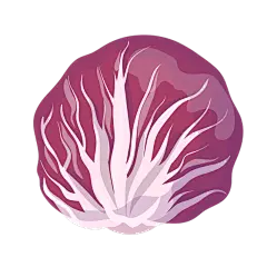 矢量-蔬菜美食元素贴纸-SVG-紫甘蓝