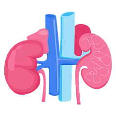手绘-人体器官医疗元素贴纸38