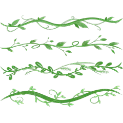 植物系列插画风各种藤条样式