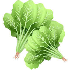 手绘-蔬菜美食元素贴纸-菠菜