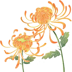 重阳节肌理感插画菊花元素