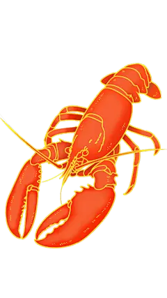 美食系列插画风虾元素
