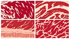 常规内容-纹理系列生肉类红色插画