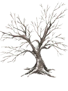 冬天插画雪景树枝元素