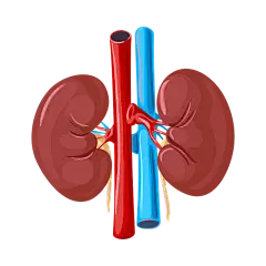 手绘-人体器官元素医疗贴纸32