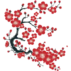 中国风水墨国画梅花