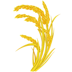 植物系列简约风金色素描麦子麦田元素