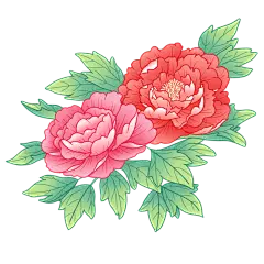 中国风植物花卉贴纸-牡丹