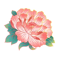 牡丹2