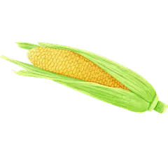 手绘-五谷杂粮美食贴纸-玉米