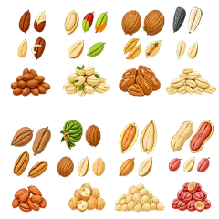 常规内容-果蔬系列插画感坚果类元素组合