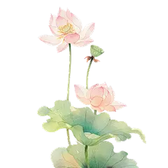 夏季节气国风水彩荷花荷叶元素