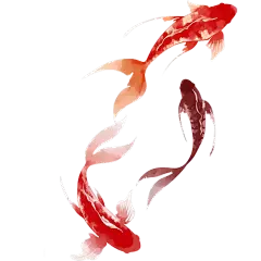 动物系列水墨锦鲤鱼群