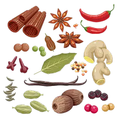 常规内容-美食系列插画风果蔬图标香料元素组合