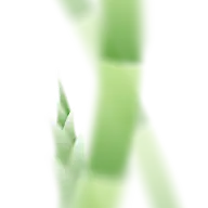 惊蛰光感弥散花元素