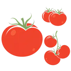 常规系列-植物系列红色番茄组合插画元素