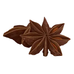 手绘调味品贴纸-八角