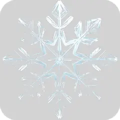 3D立体透明雪花贴纸