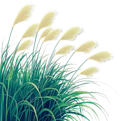 秋天实景感芦苇前景插画元素
