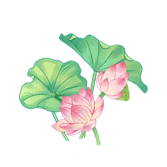 夏至荷花元素中国风贴纸