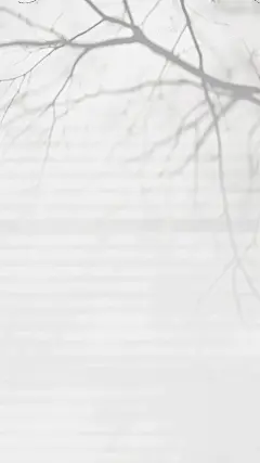 背景通用光影特效植物黑白背景图片素材