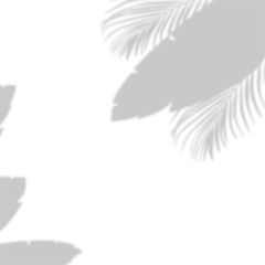 植物窗影元素-SVG9