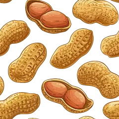 常规内容-美食系列卡花生食物插画