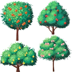 手绘卡通果树植物插画元素3