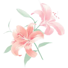 植物系列厚涂风水彩百合花元素