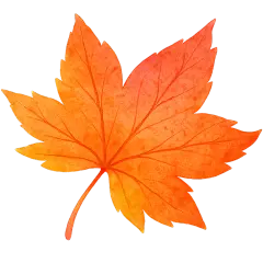 常规植物系列插画风飘落枫叶/杏叶（单片）元素