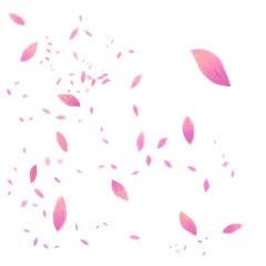 手绘粉色漂浮花瓣元素8