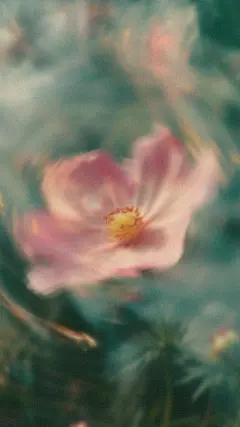 春分实景感模糊肌理植物花朵背景