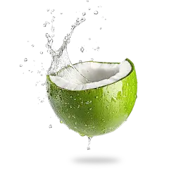 常规果蔬系列实景椰子水果蔬菜通用元素素材