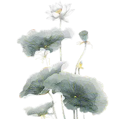 中国风通用金边工笔画荷花植物元素素材