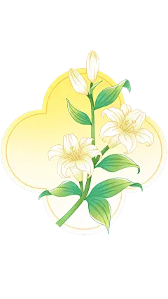 植物系列中国风线描百合花卉元素