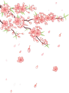 植物系列插画风飘落的樱花和丝带元素