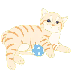 可爱萌宠风宠物插画-橘猫